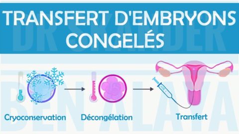 Combo Verre trempé & étuis pour IPhone 13-14-15 - Recycell